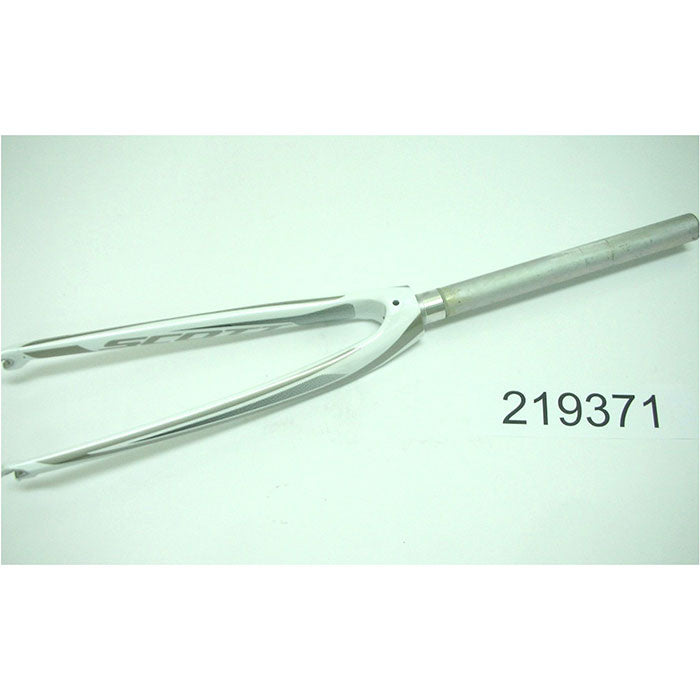 Fork Speedster S20 2011