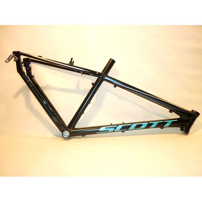 Frame Sportster X30 Solution 2013