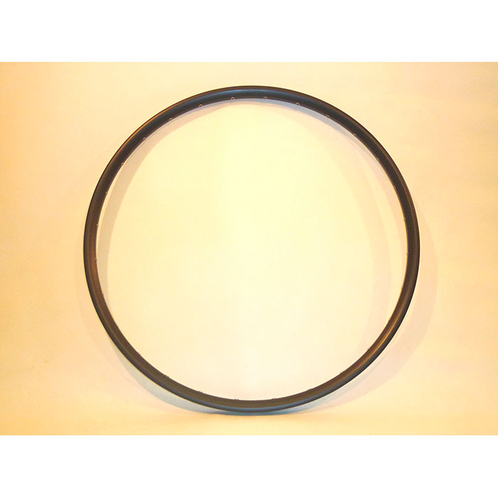 Rim Syncros DT AM20 26