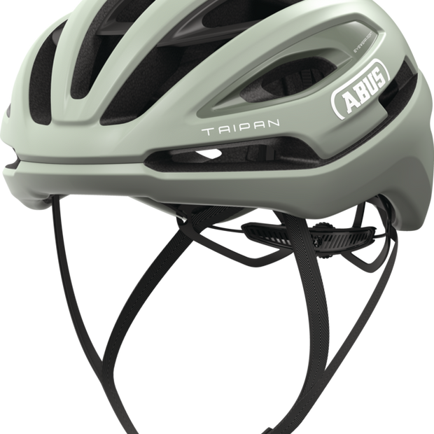 TAIPAN Abus